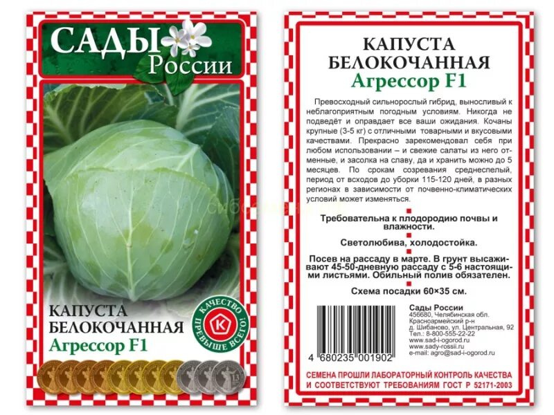 Капуста аллигатор описание сорта фото отзывы Капуста бк Агрессор F1 (СР) купить, отзывы, фото, доставка - Совместные покупки 