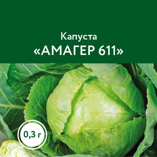 Капуста амагер 611 описание сорта фото отзывы Овощи Капуста
