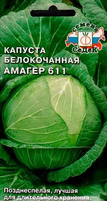 Капуста амагер фото Капуста Белокочанная Амагер 611 0,5 гр (Седек) - Интернет-магазин pitomnik-veles