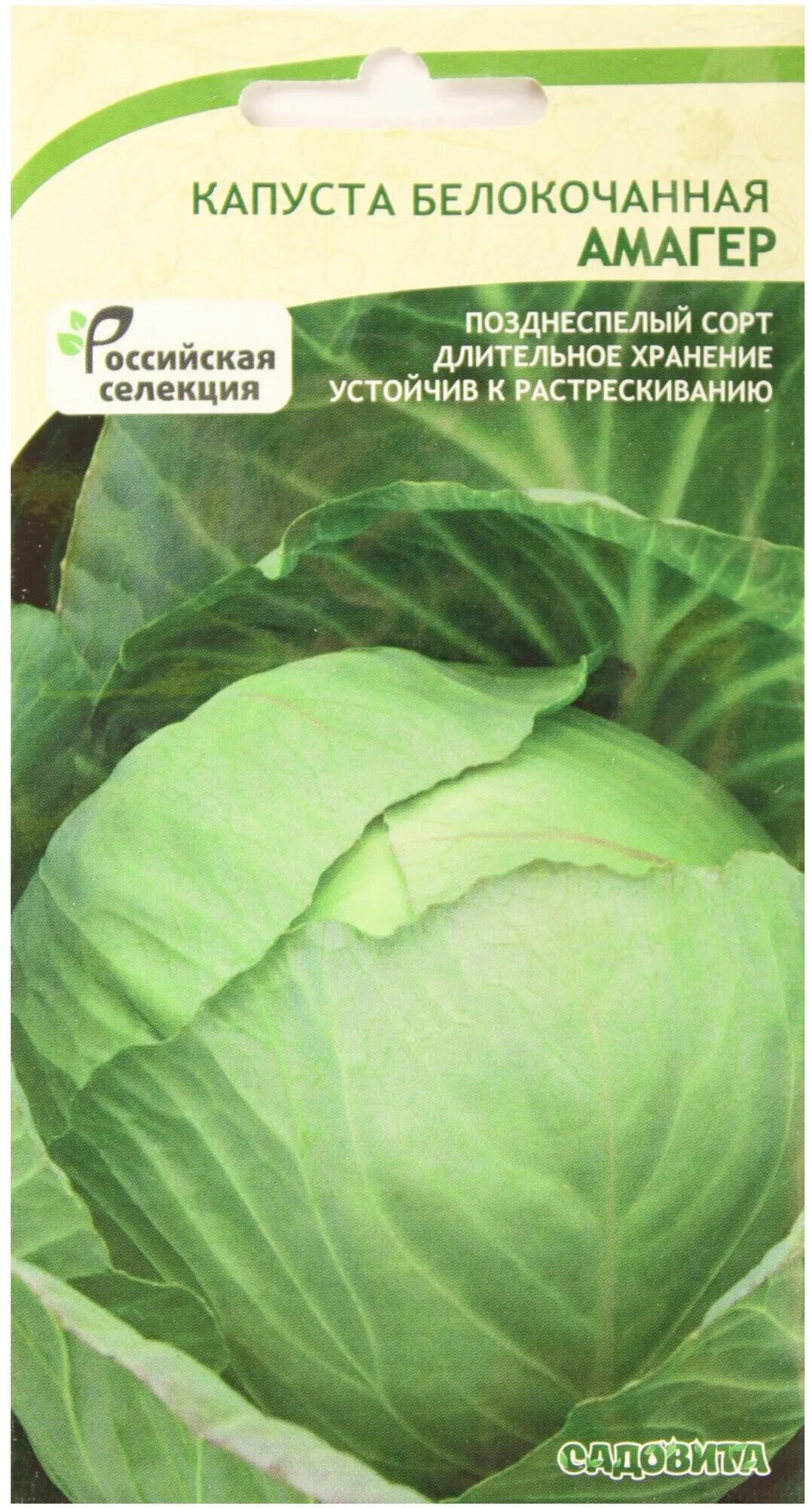 Капуста амагер фото Капуста Садовита Амагер, 0.5 г, семена купить товары для сада и огорода с быстро