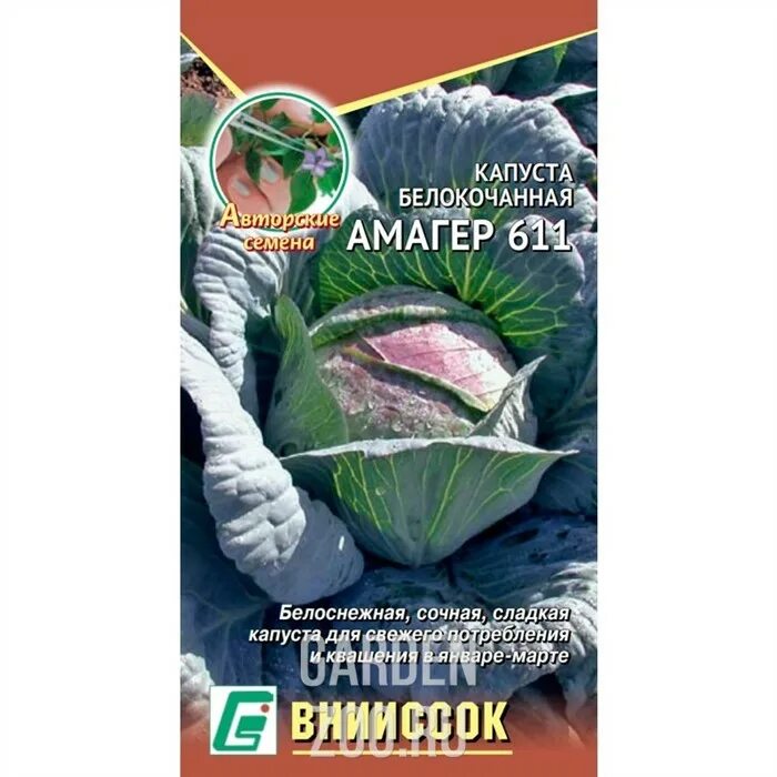 Капуста амагер фото описание Капуста б/к Амагер купить в Пензе цена 14 руб.Зеленый дом