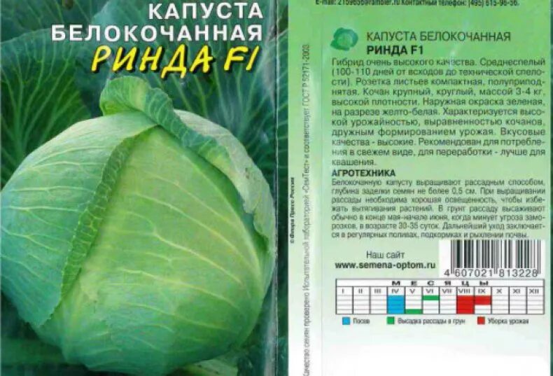 Капуста антикиллер описание сорта фото отзывы Всё о капусте ринда - описание сорта, посадка, уход и другие нюансы + фото