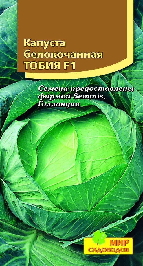 Капуста антикиллер описание сорта фото отзывы Лучшие сорта ранней капусты ОГОРОДНИЦА ЮЛИАННА Дзен