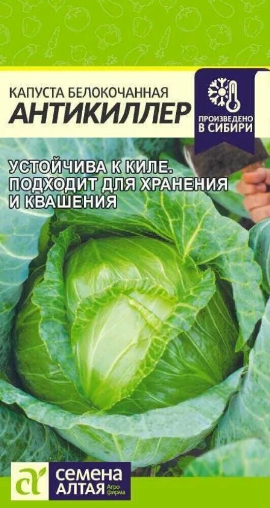 Капуста антикиллер описание сорта фото отзывы Семена Капуста для квашения Гавриш - 2 упаковки - купить в интернет-магазине по 