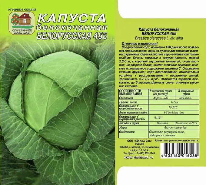 Капуста артрия описание сорта фото отзывы Белокочанная капуста Белорусская 455 0,5г СО/зел/ капуста Капуста Белокочанная. 