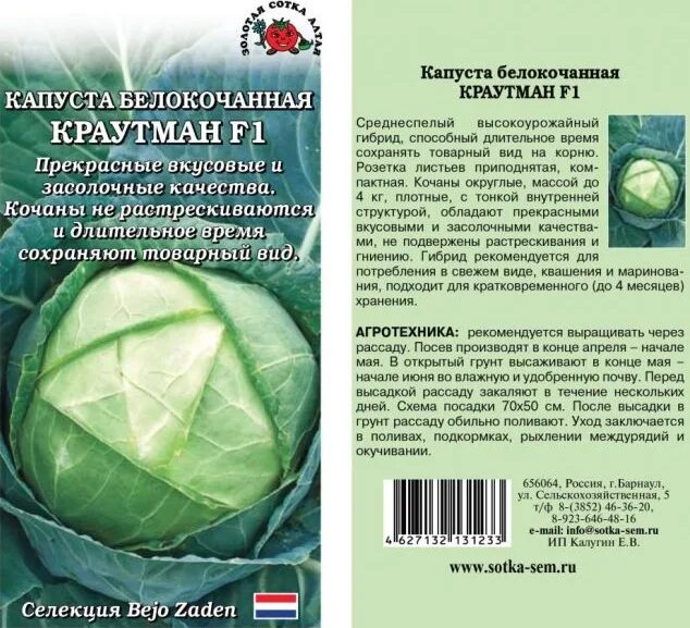 Капуста артрия описание сорта фото отзывы Капуста_б/к_Краутман F1 (ср)10_шт.Золотая Сотка Алтая