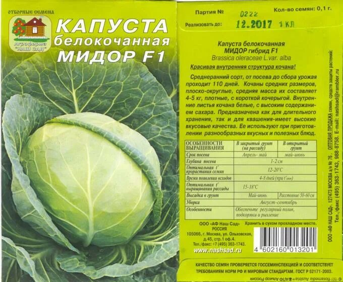 Капуста артрия описание сорта фото отзывы Капуста Мидор F1 б/к ХРАНЕНИЕ И КВАШЕНИЕМС 0,1 г Капуста. Семена овощей