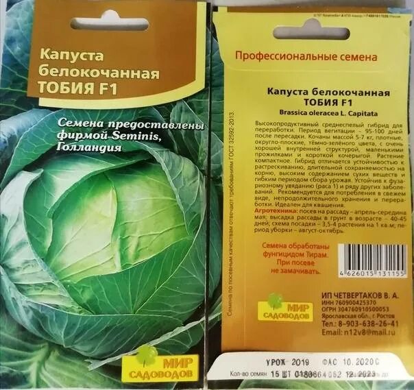 Капуста артрия описание сорта фото отзывы Капуста тобия описание сорта фото отзывы - MosRosa.ru