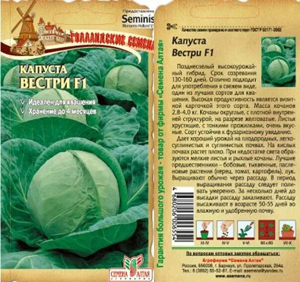 Капуста артрия описание сорта фото отзывы Капуста Вестри F1/Сем Алт/цп 15 шт. Seminis (Голландские Семена) БАКЛАЖАН