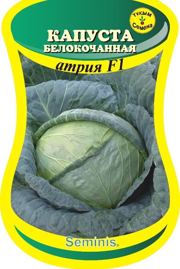 Капуста атрия f1 описание сорта фото Капуста б/к поздняя Атрия F1 (сем. Seminis) 10 шт.