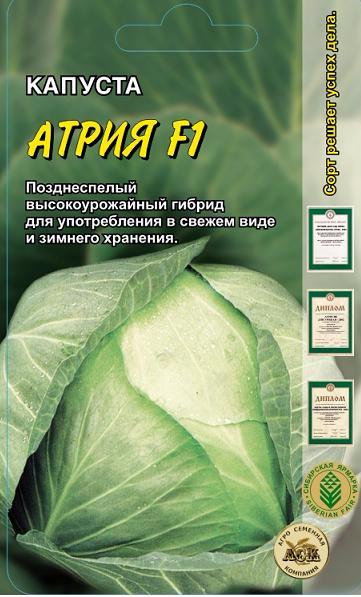Капуста атрия f1 описание сорта фото Купить семена Капуста Атрия F1 /АСК/ 10 шт в Новосибирске - Дом семян