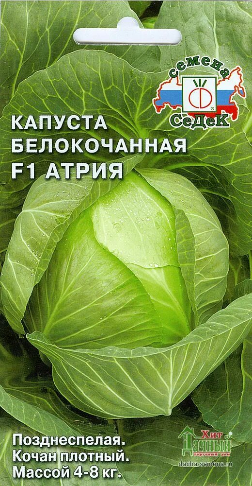 Капуста атрия описание фото Капуста белокочанная Атрия F1 10шт (Гавриш) в Кирове купить по низким ценам, инт