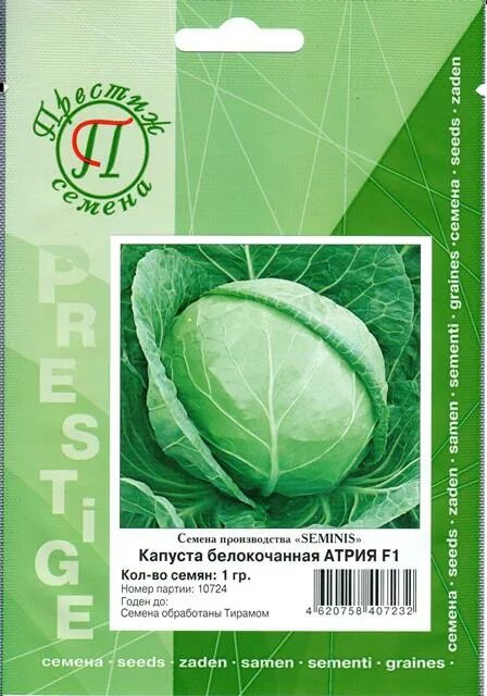 Капуста атрия описание сорта фото semena