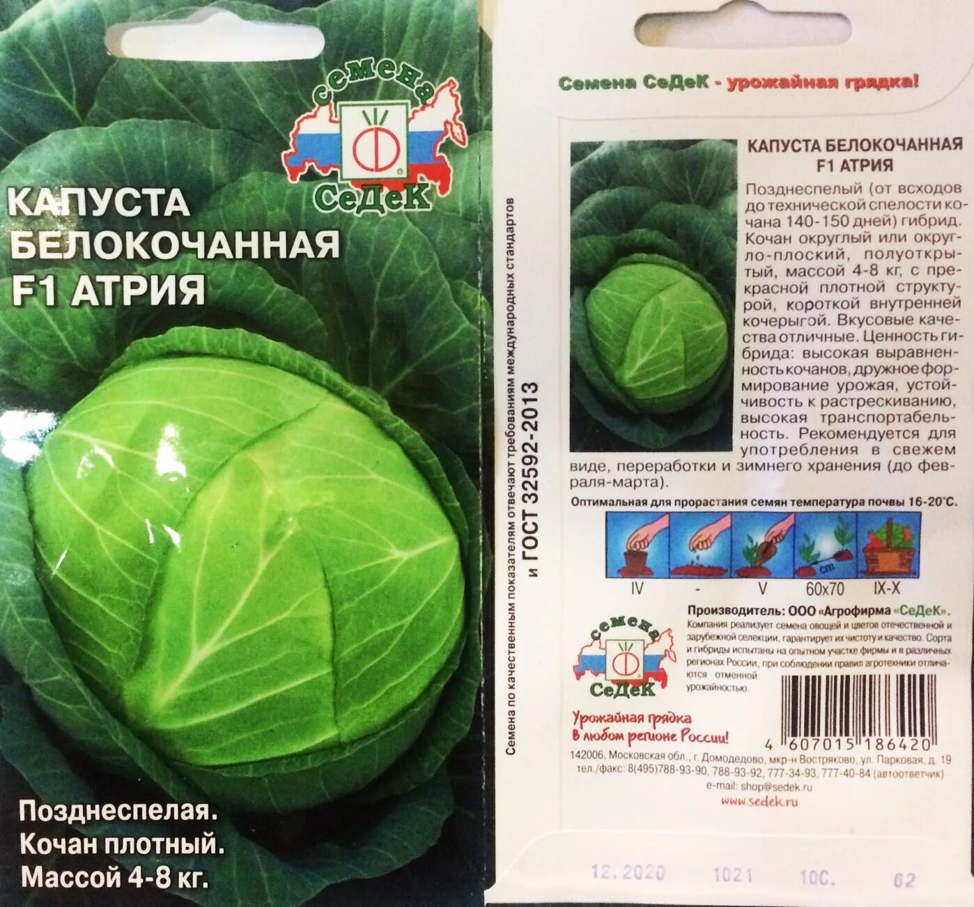 Капуста атрия описание сорта фото Капуста Харьковская зимняя: характеристика и описание позднеспелого сорта с фото