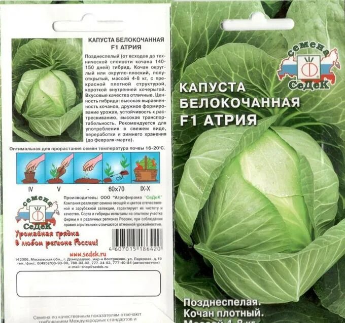 Капуста атрия описание сорта фото Капуста Атрия F1 б/к 0,05г СЕДЕК Наш сад, пакеты цветные(ОВОЩИ) названия с А. Се