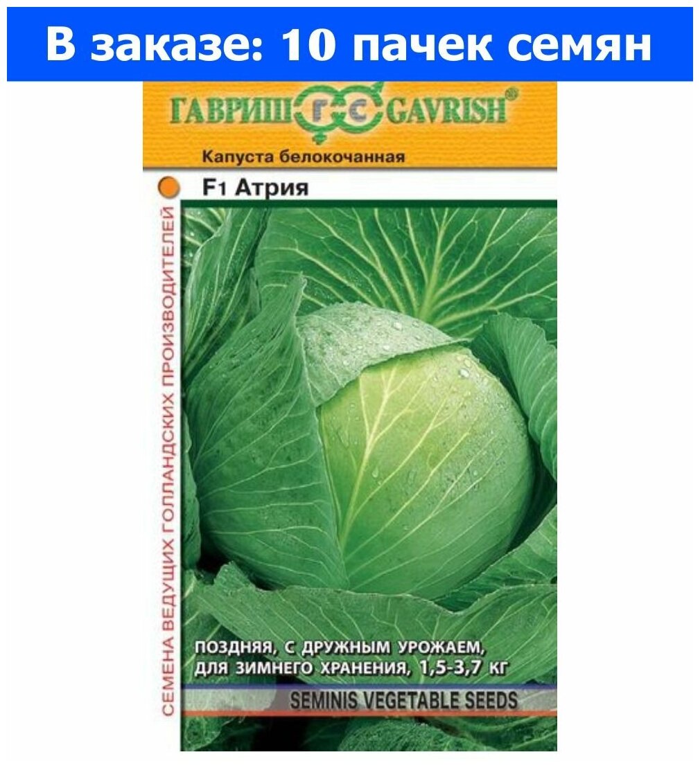 Капуста атрия описание сорта фото отзывы садоводов Капуста б/к Атрия F1 10шт Поздн (Гавриш) - 10 ед. товара - купить в интернет-маг
