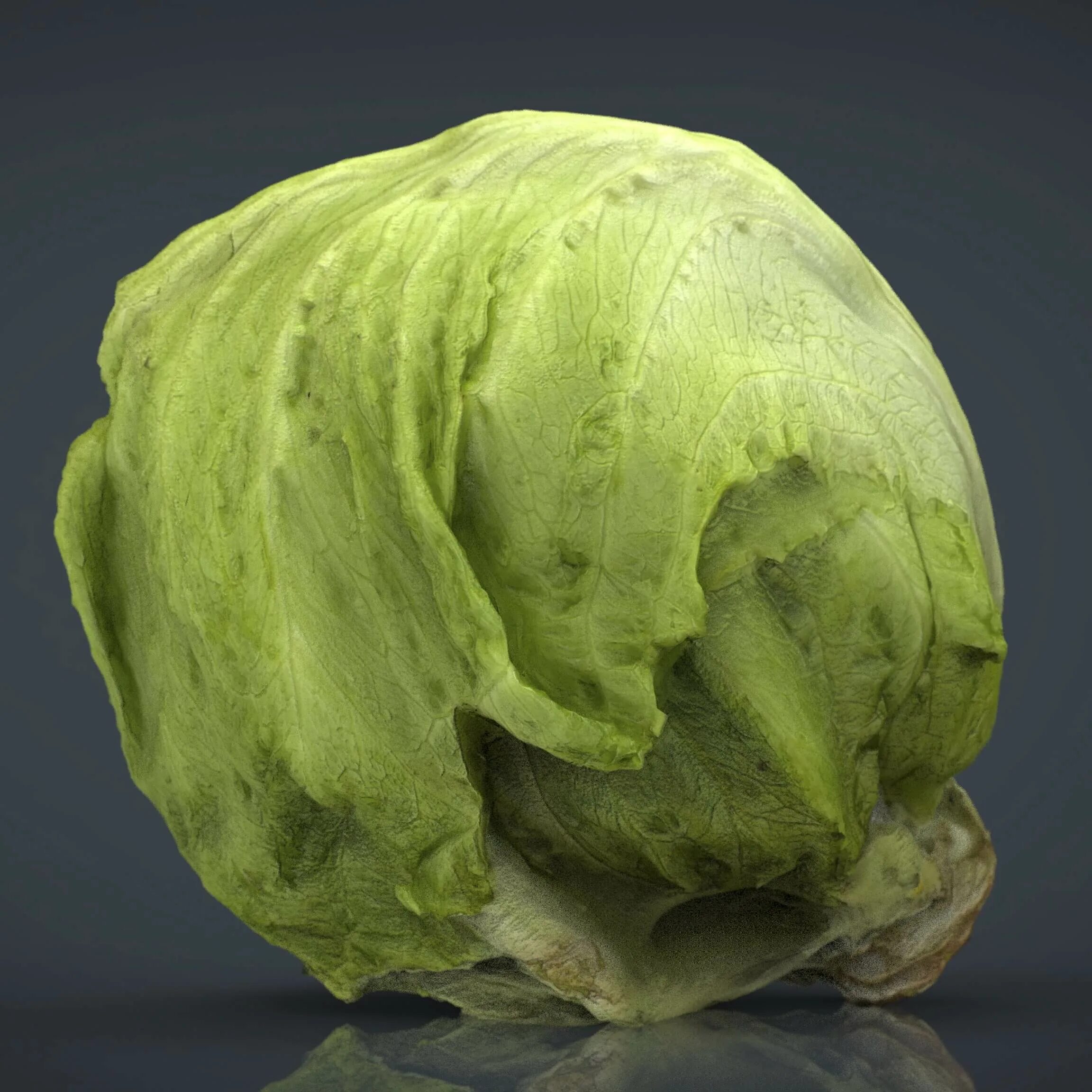 Капуста айсберг фото Iceberg Lettuce - 3D Model by sanchiesp
