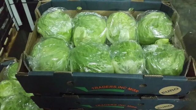 Капуста айсберг фото цена Капуста АйсБерг, Цена 1 грн. - Одесса. Объявления на agrotender.com.ua.