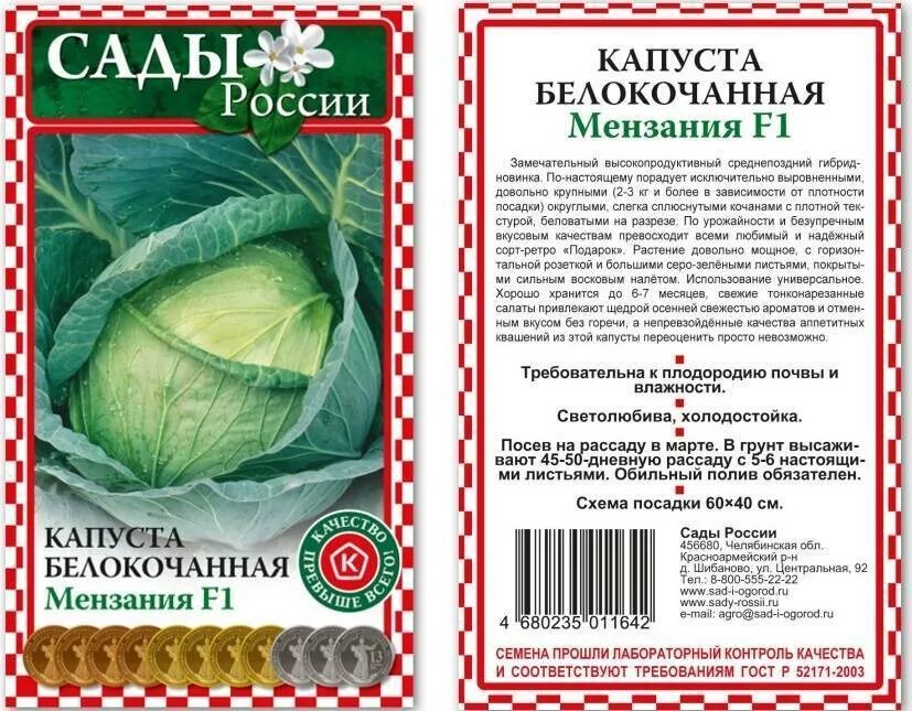 Капуста барыня описание сорта фото отзывы Капуста мензания описание сорта фото - Arhids.ru