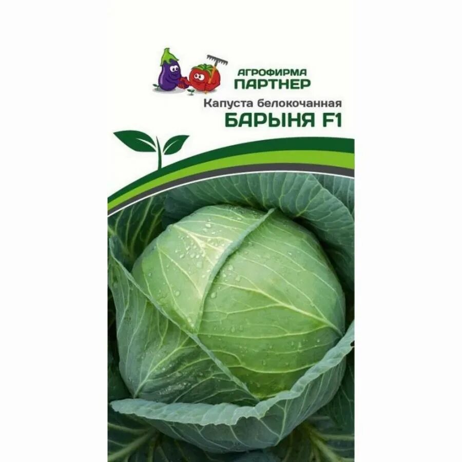Капуста барыня описание сорта фото отзывы КАПУСТА Б/К БАРЫНЯ F1 0,2 Г партнер Агрофирма "ФЛОС"