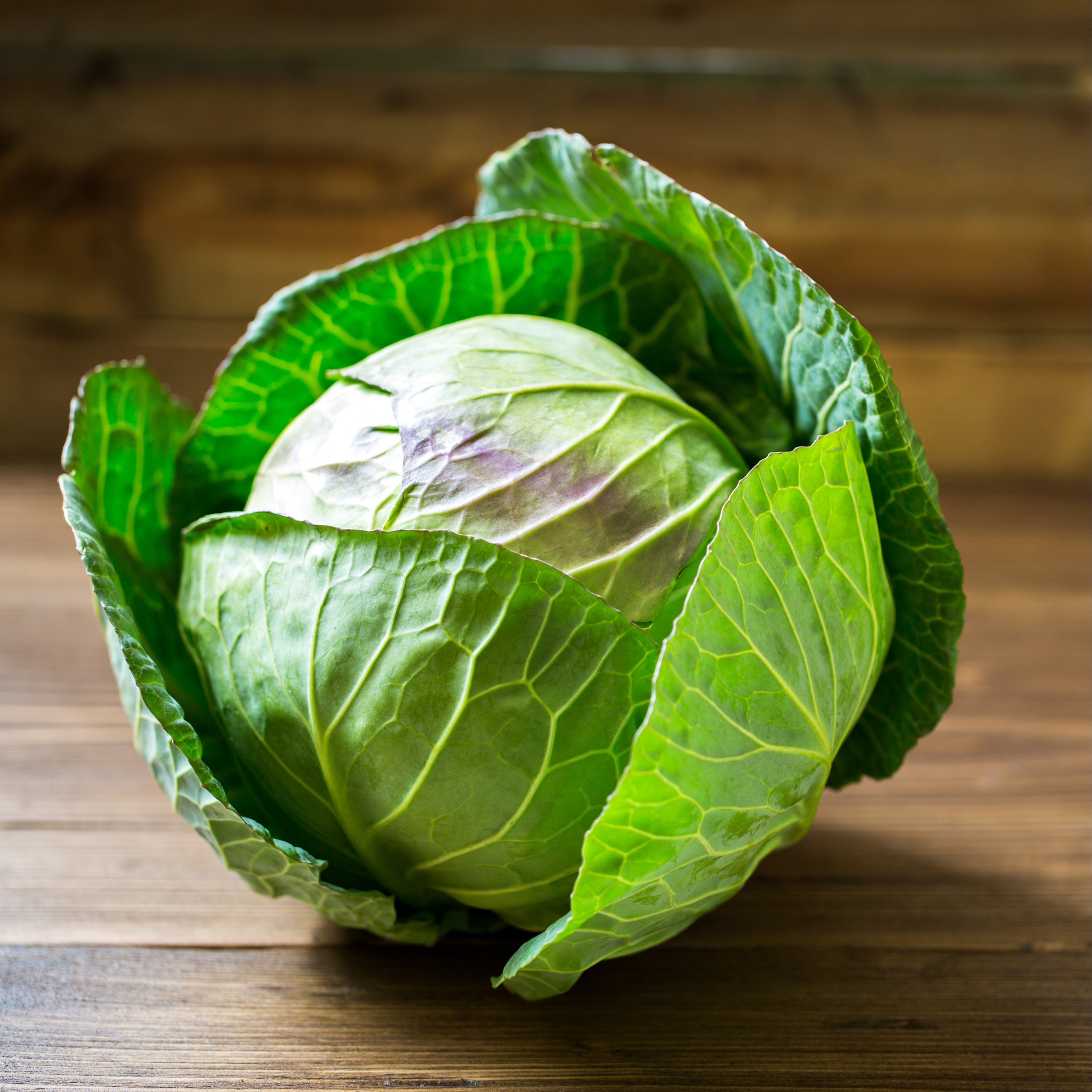 Капуста белокочанная фото Cabbage - Green- Agourifoods.com