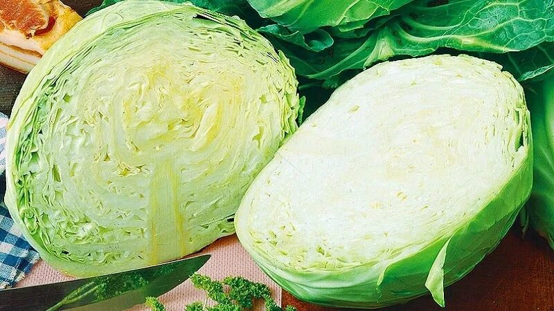 Капуста белокочанная сорта с фото и названиями Сорта капусты с фото и описанием: лучшие разновидности и названия, характеристик