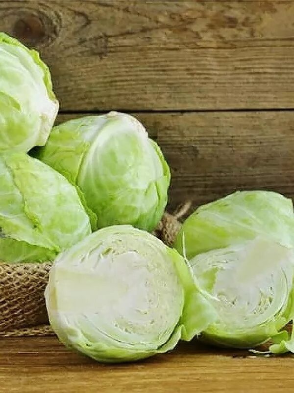Капуста белокочанная свежая фото Капуста белокочанная Копенгаген маркет (Copenhagen Market)