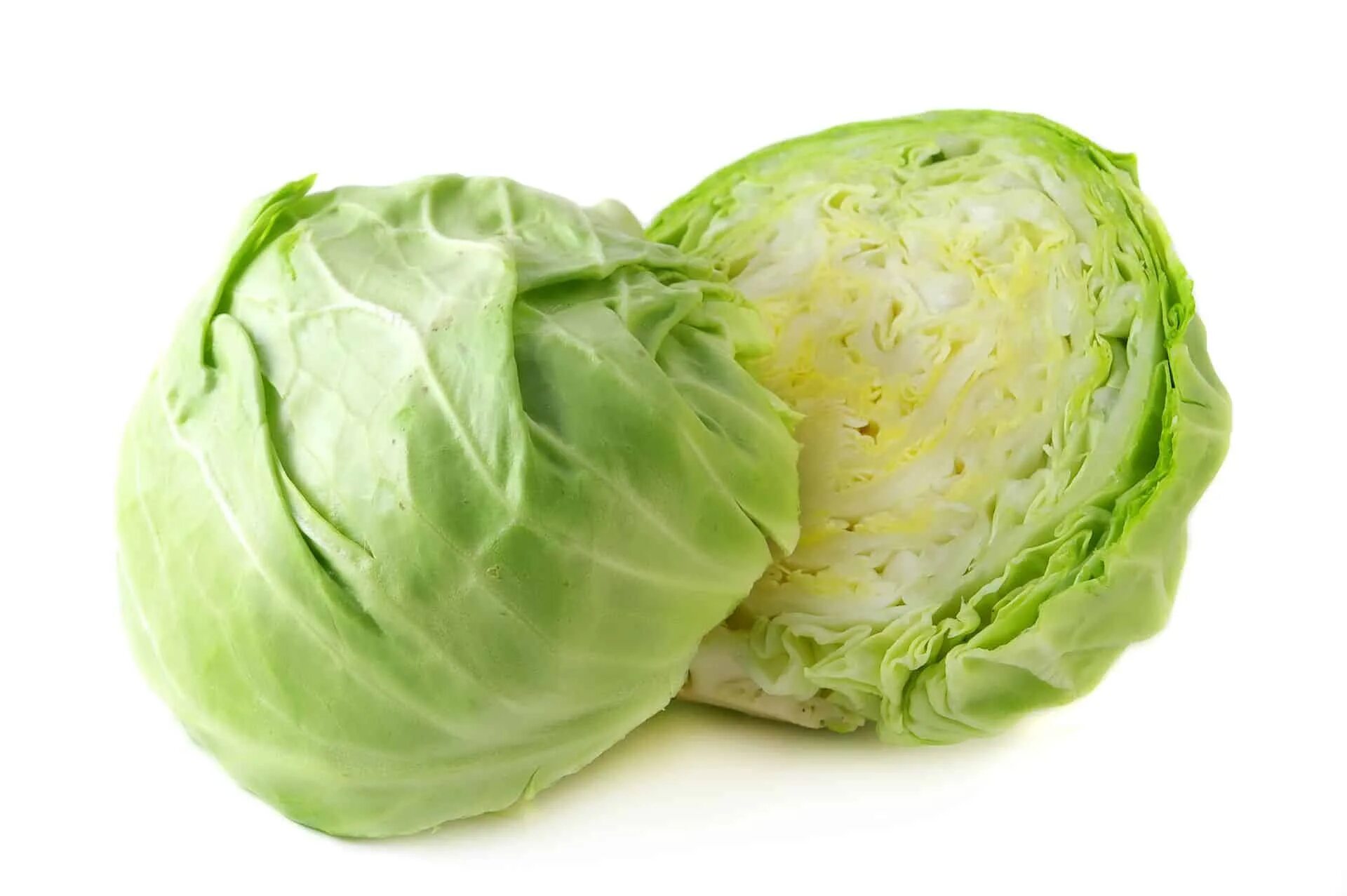 Капуста белокочанная свежая фото Vegetables - Cabbage