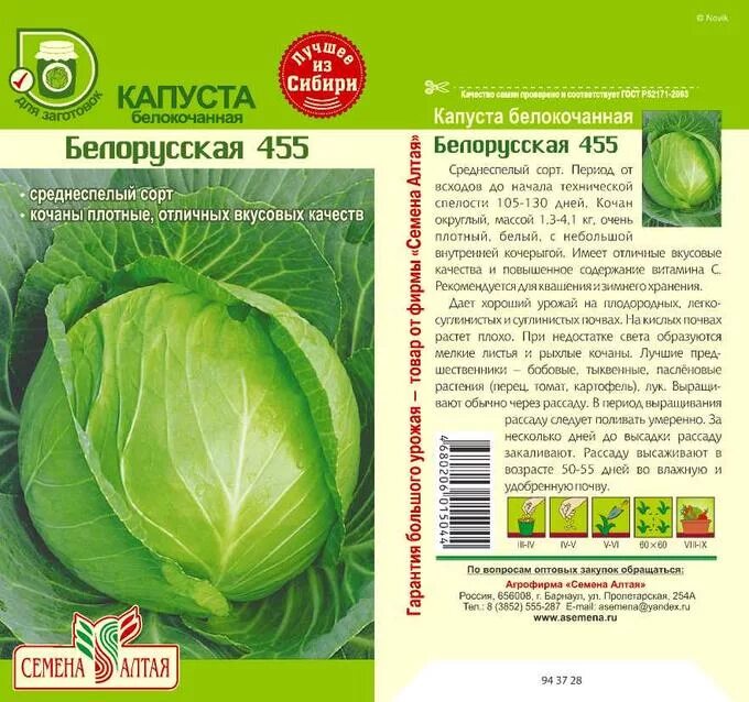 Капуста белорусская описание сорта фото Капуста Белорусская 455/Сем Алт/цп 0,5 гр. Кабачок, капуста. Кукуруза. Семена ов