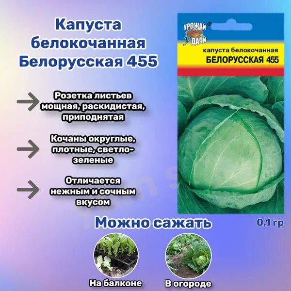 Капуста белорусская описание сорта фото отзывы садоводов Капуста Урожай удачи Капуста Yom Shop - купить по выгодным ценам в интернет-мага