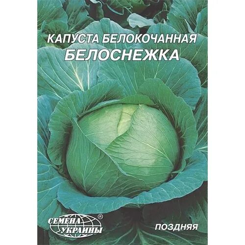 Капуста белоснежка описание сорта фото Капуста "Белоснежка" 5г Укр семена : купить почтой в Киеве, Одессе, Украине Цена