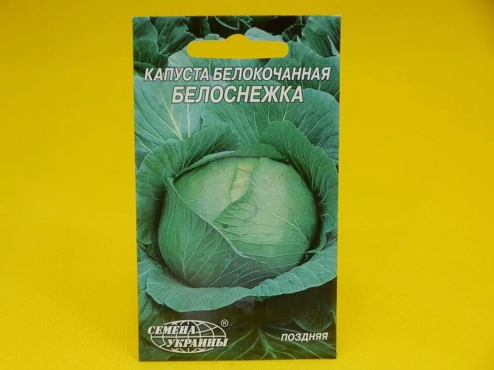 Капуста белоснежка описание сорта фото отзывы Семена капусты поздней Белоснежка ВетАптека - ЗооМагазин "Лапочка"