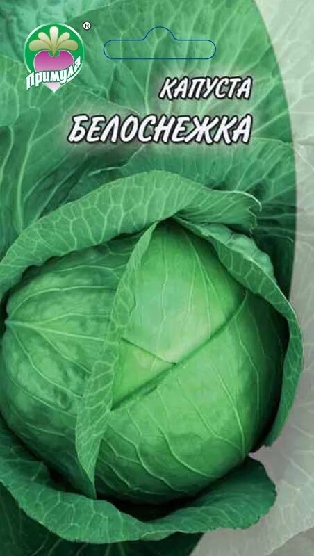 Капуста белоснежка описание сорта фото отзывы Капуста Белоснежка - Семена оптом и в розницу ТМ "Примула"
