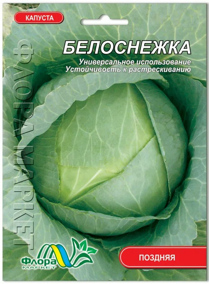 Капуста белоснежка описание сорта фото отзывы Капуста белоснежка описание сорта