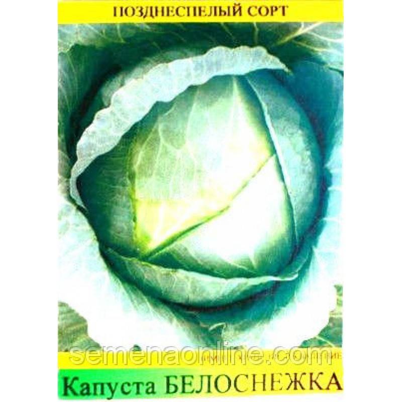 Капуста белоснежка описание сорта фото отзывы Капуста Белоснежка: описание, фото