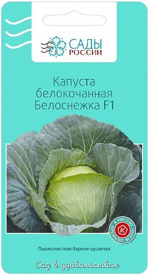 Капуста белоснежка описание сорта фото отзывы Купить Семена Капуста белокочанная Белоснежка F1 от Сады России, 1603