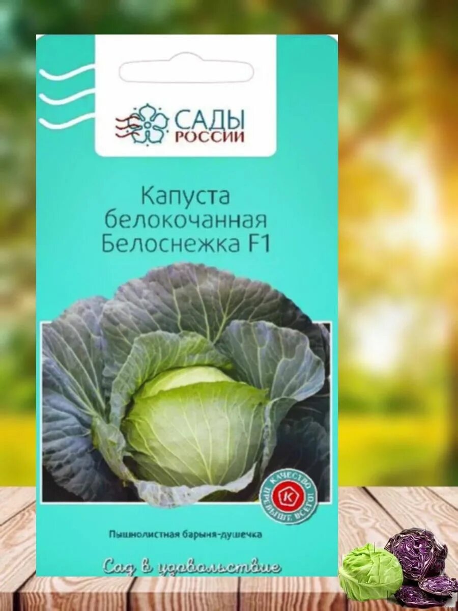 Капуста белоснежка описание сорта фото отзывы садоводов Капуста Белоснежка F1 Сады России 188164588 купить за 202 ₽ в интернет-магазине 