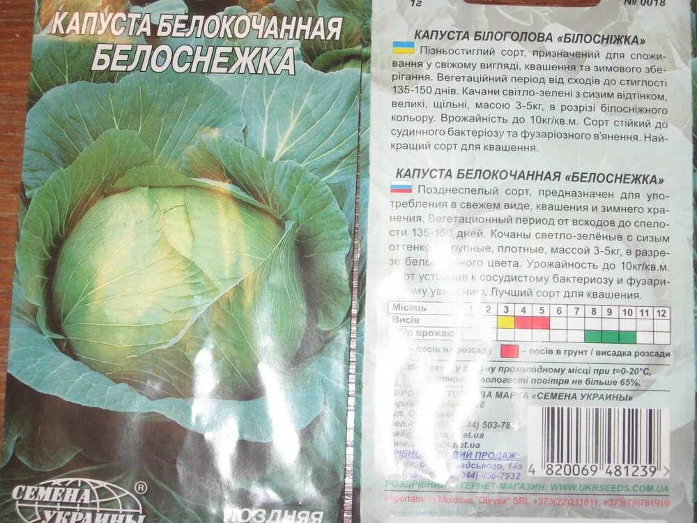 Капуста белоснежка описание сорта фото отзывы садоводов Капуста белоснежка описание сорта фото отзывы садоводов фото - Arhids.ru