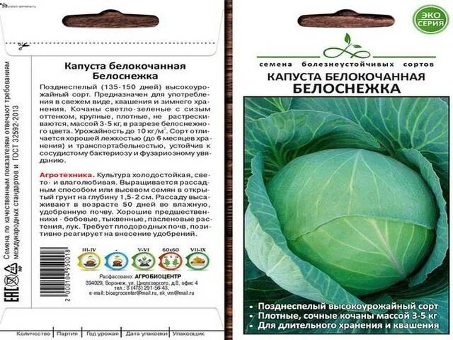 Капуста белоснежка описание сорта фото отзывы садоводов Капуста белоснежка описание сорта фото - Arhids.ru
