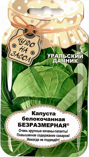 Капуста безразмерная описание сорта фото отзывы Семена Капуста белокочанная Безразмерная от Уральский дачник, фасовка: 0,9 г, 97