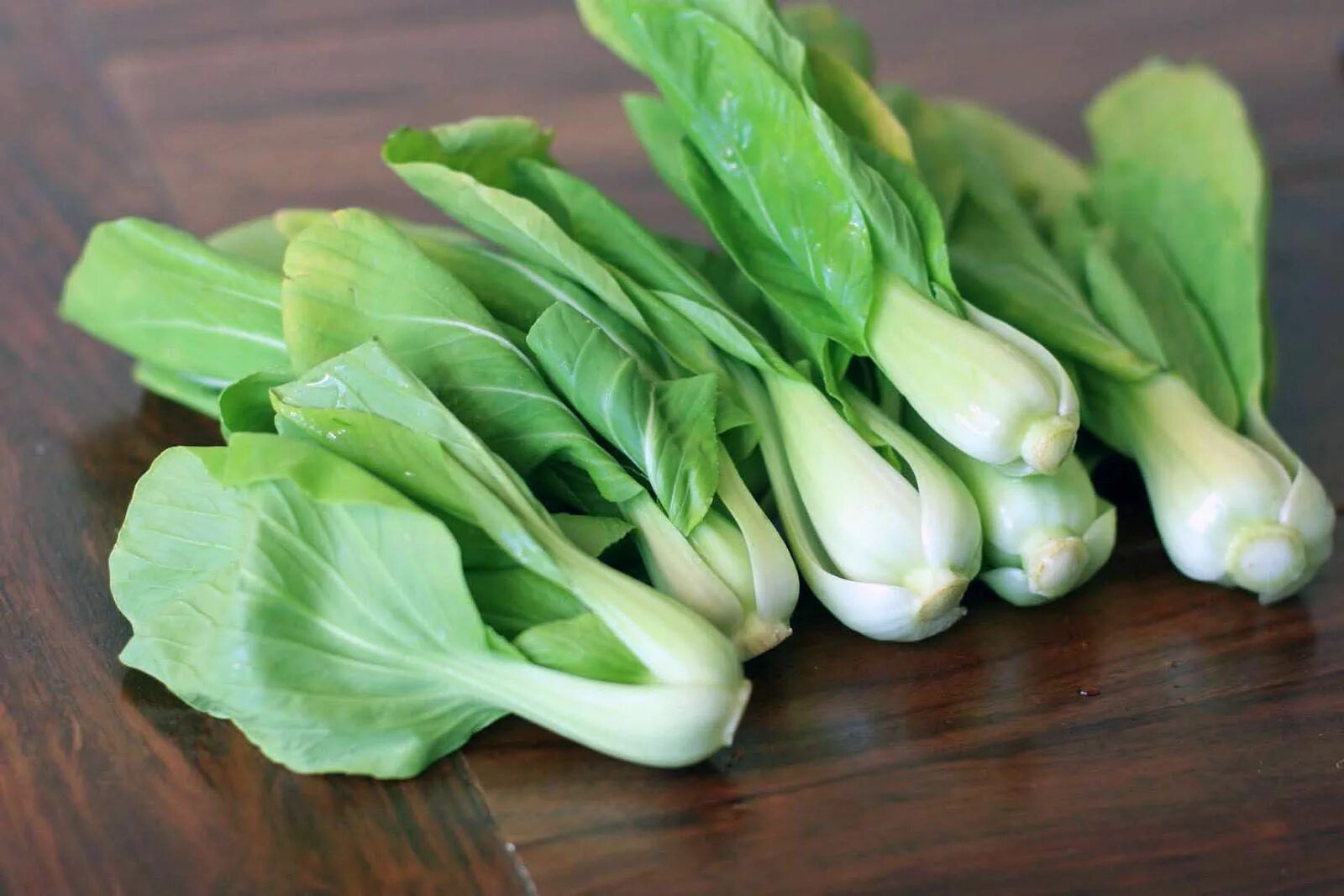 Капуста бок чой фото Pin on Food & Nutrition