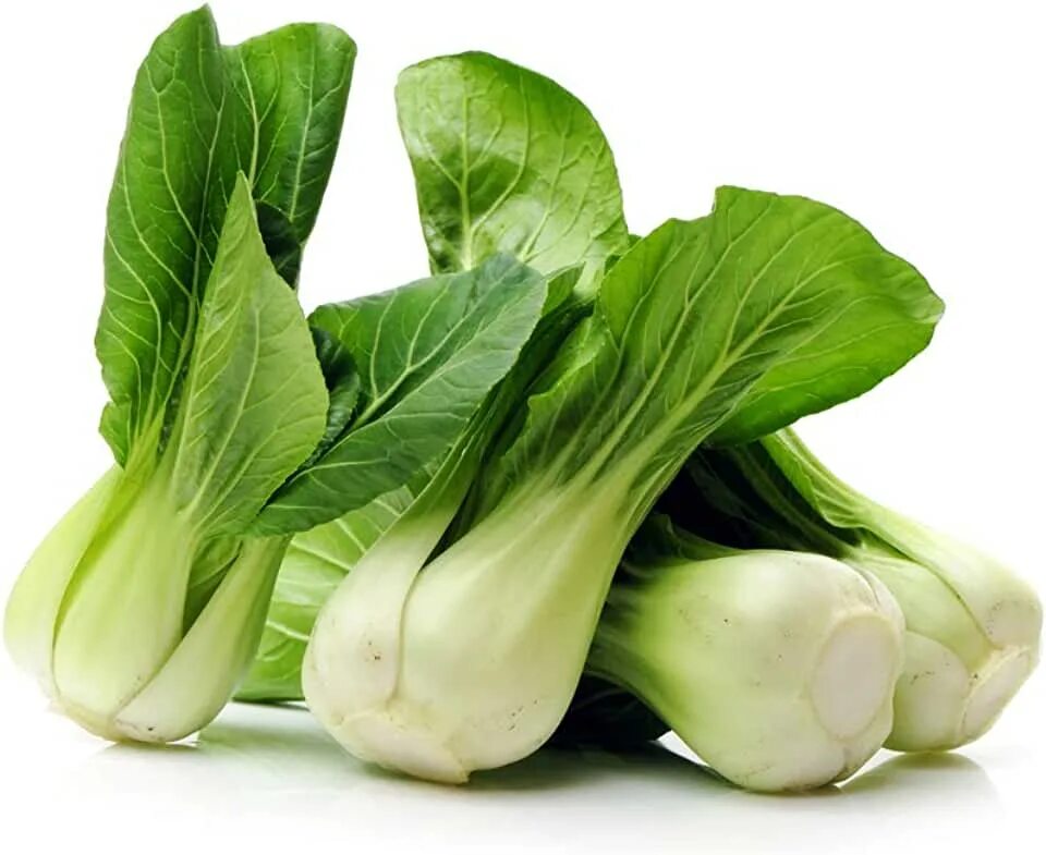Капуста бок чой фото Amazon.com: Pak Choi