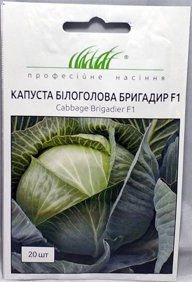 Капуста бригадир описание сорта фото отзывы Капуста Brigadier F1 (Бригадир Ф1): описание сорта, фото, отзывы