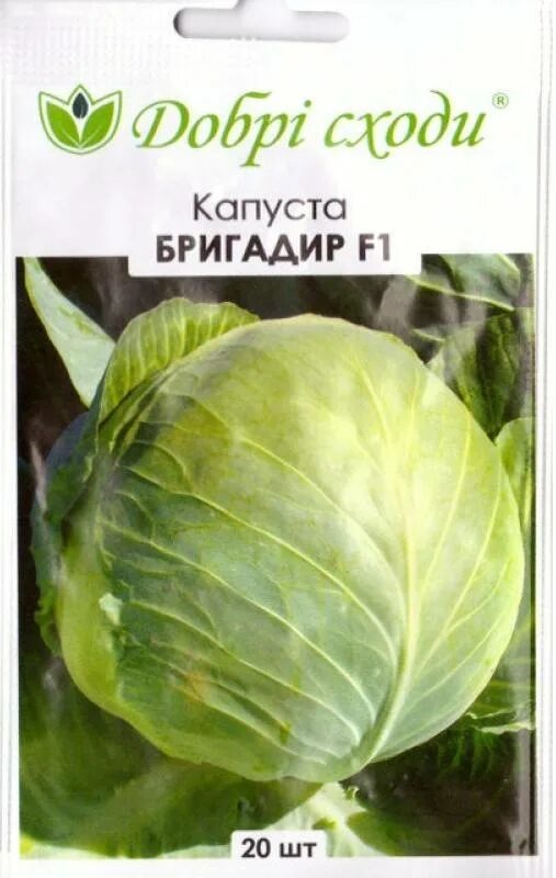 Капуста бригадир описание сорта фото отзывы садоводов Капуста Бригадир: описание, фото, посадка и уход, урожайность, отзывы