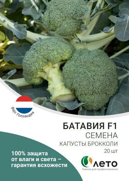 Капуста брокколи батавия описание сорта фото отзывы Брокколи батавия схема посадки