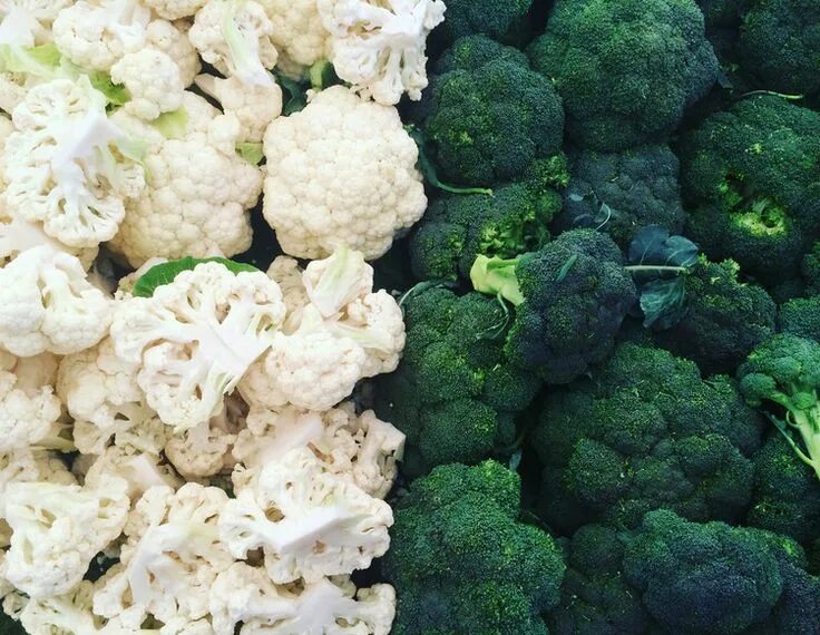 Капуста брокколи белая фото Broccoli vs. Cauliflower: Which One Is Healthier? - EatingWell Broccoli, Healthy