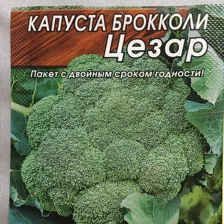 Капуста брокколи бести описание сорта фото отзывы Капуста брокколи Цезарь - описание семян с фотографиями растения. Отзывы покупат