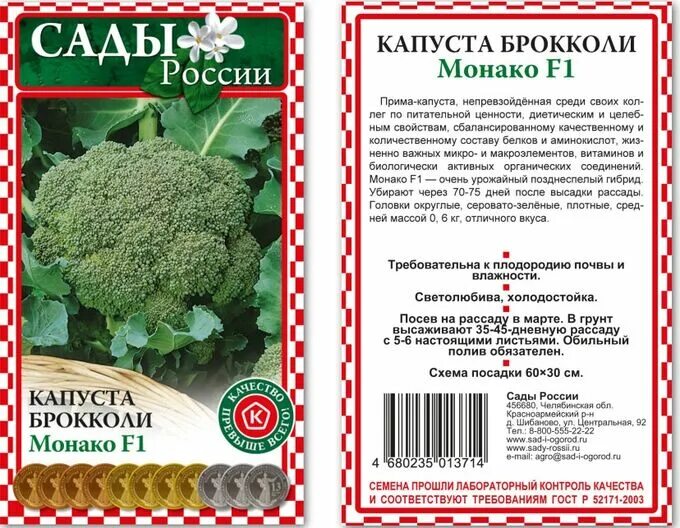 Капуста брокколи бести описание сорта фото отзывы Капуста цветная монако Рассада капуста, брокколи цветная. Луковицы, рассада и са
