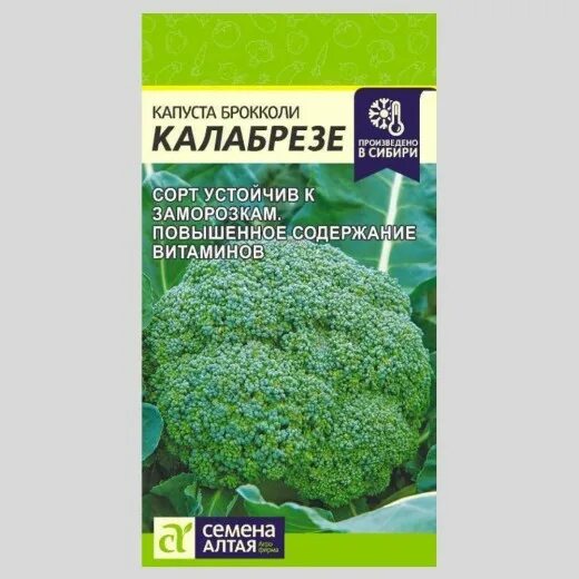 Капуста брокколи фортуна описание сорта фото отзывы Капуста Брокколи Калабрезе цп - семена купить в Нур-Султане, доставка почтой по 