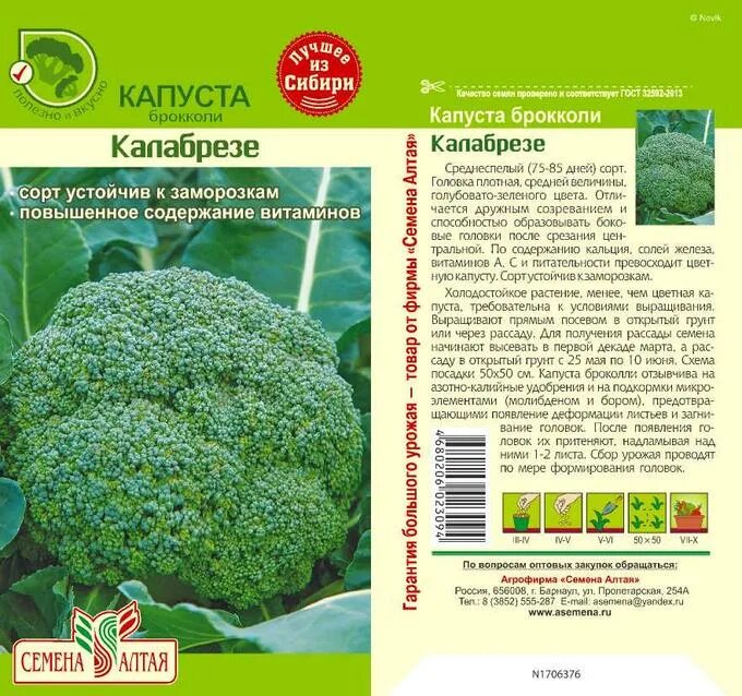 Капуста брокколи фортуна описание сорта фото отзывы Капуста Брокколи Калабрезе/Сем Алт/цп 0,5 гр. Цена за 2 пакетика. Семена овощей